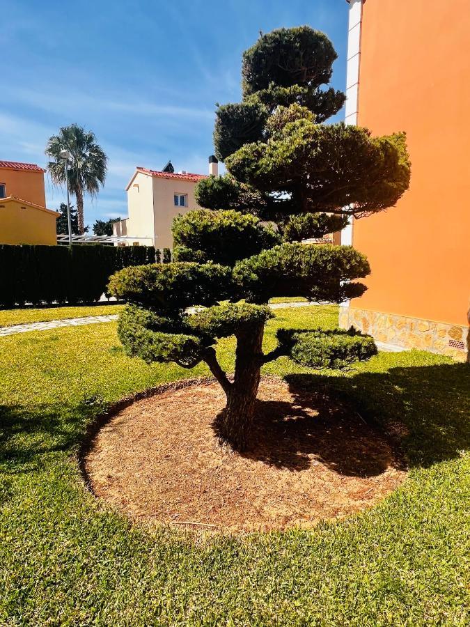 Oliva Nova Beach & Golf Resort Club Sevilla VI Esterno foto
